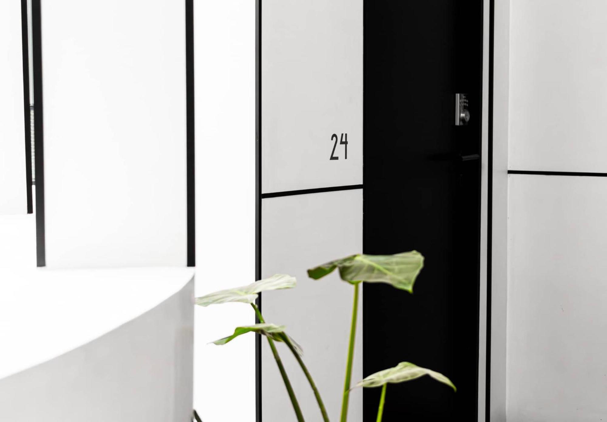 فندق Puerta Roja Excelente Ubicacion En La Condesa مدينة مكسيكو المظهر الخارجي الصورة